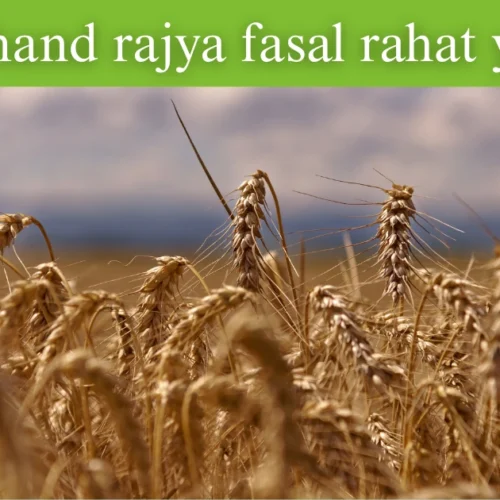 jharkhand rajya fasal rahat yojana