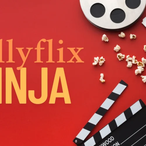 bollyflix ninja
